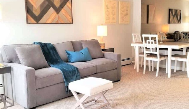 Modern & Stylish Furnished 1 Bed 1 Bath