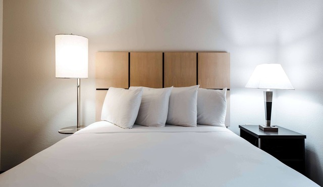 Modern Suite | Queen Bed | Kitchenette