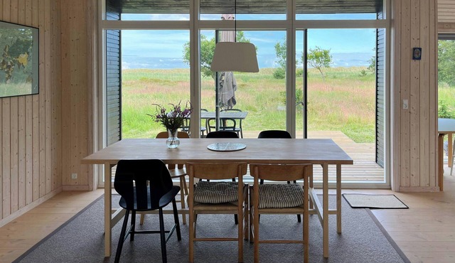 Modern summer house with a view of the dunes
