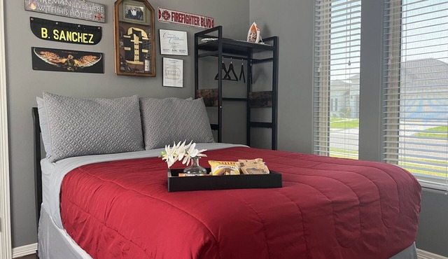 Modern themed guest suite-10 minutes from UTRGV!