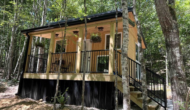 Modern Tiny House tucked in the woods - only 192 Sq. Ft.