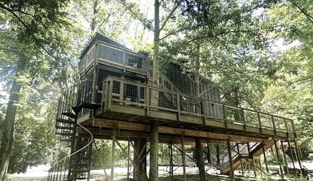 Modern Treehouse Retreat with River Access near Starved Rock State Park in Utica, Illinois
