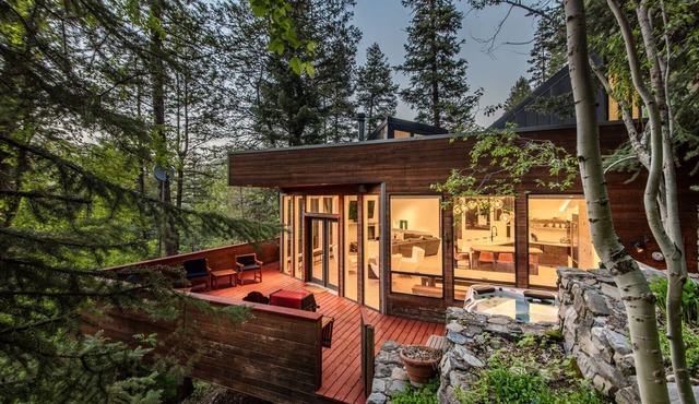 Modern Treehouse - Unique Contemporary Home Nestled in the Forest, Hot Tub, Fireplace, Game Room