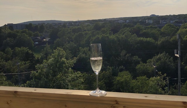 Modern, unique house on the grand concourse trail, 2.4km from downtown.