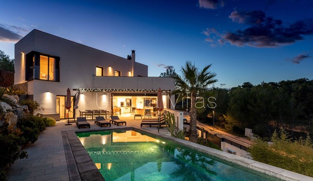 Modern villa with pop art look and forest views