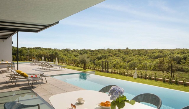 Modern villa Noble with view and pool in Bale