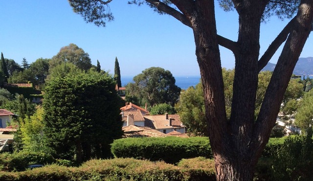 Modern villa, sea views, 15 min walk to city, green surrounding, very calm,