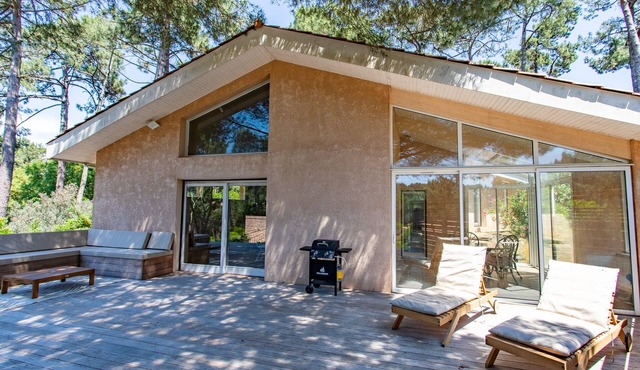 Modern villa with large terrace under the pines