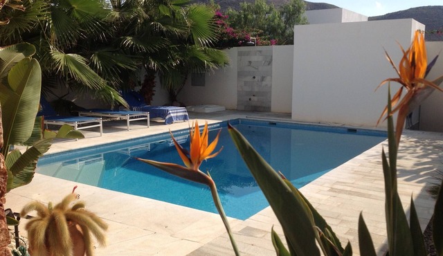 Modern villa with wifi private pool 300 m from the beach in Las Negras