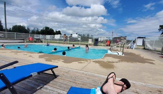 Modern, yet oh so cozy forest view cabin with riverfront access