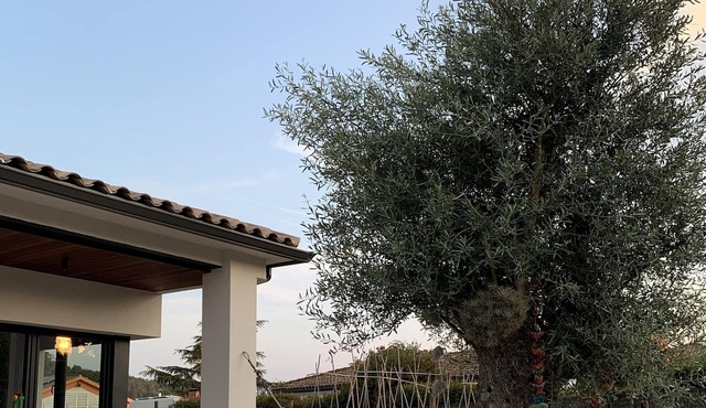 Moderna Villa, en un Entorno Rural, Entre la Costa Brava y Barcelona
