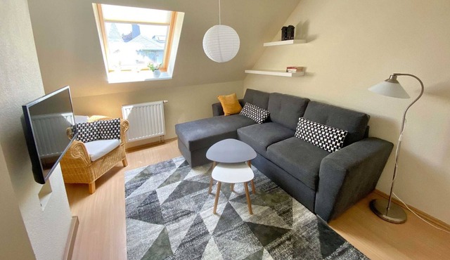 Moderne Fewo Schieke in Schleiz