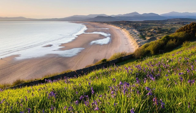 Moelwyn View Cottage