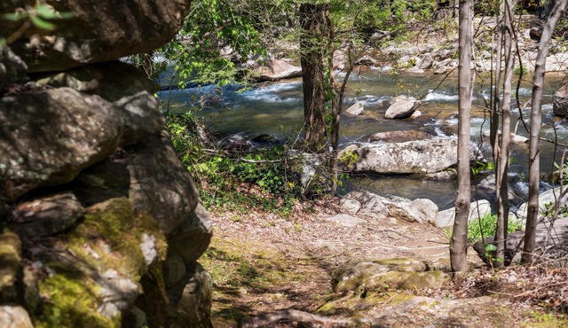 Mohican's Landing by Carolina Properties - Views, Riverfront on the Rocky Broad!