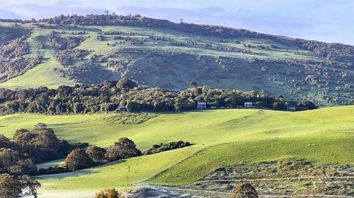 Mohua Park - Catlins Eco Accommodation