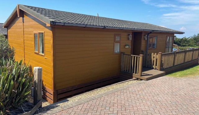 MOJO, pet friendly in Ilfracombe