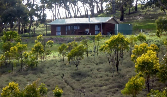 Molly's Chase, Mollyfies Log cabin B&B