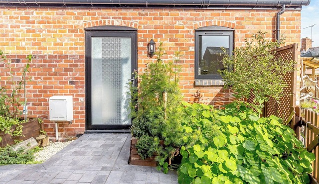 Molly Veroni - UK43592