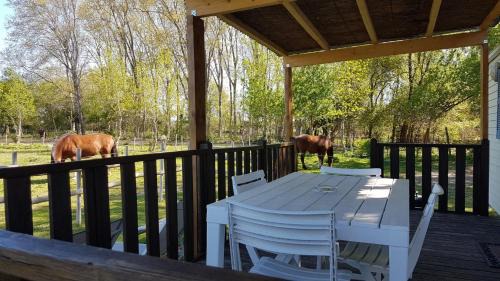 Mon Gite En Camargue