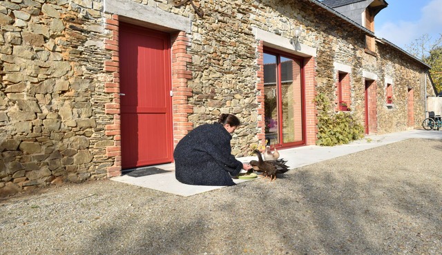 Mon Savoureux Jardin: Comfortable country cottage for animal lovers
