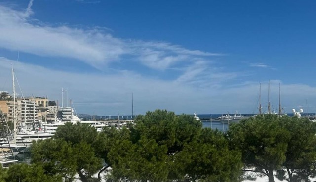 Monaco stunning port location - Grand Prix/F1
