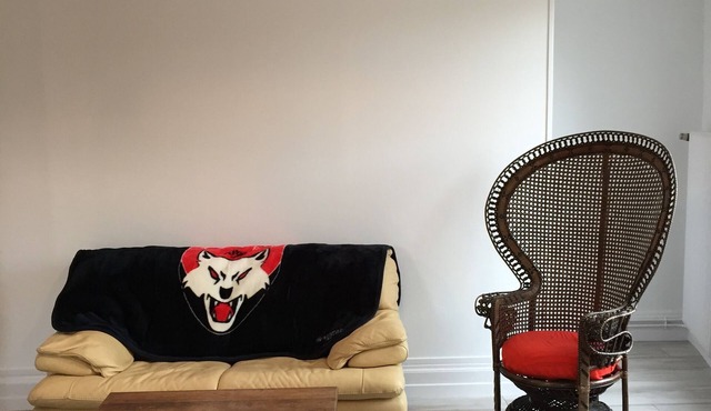 Monastic farmhouse, furnished comfort, near the center of Lyon