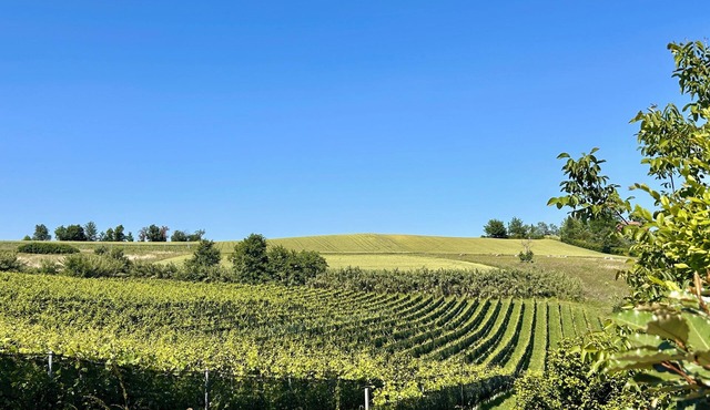Monferrato Charme & Relax with Pool in Piemonte