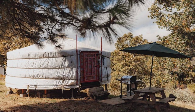 Mongolian yurt at a nature retreat