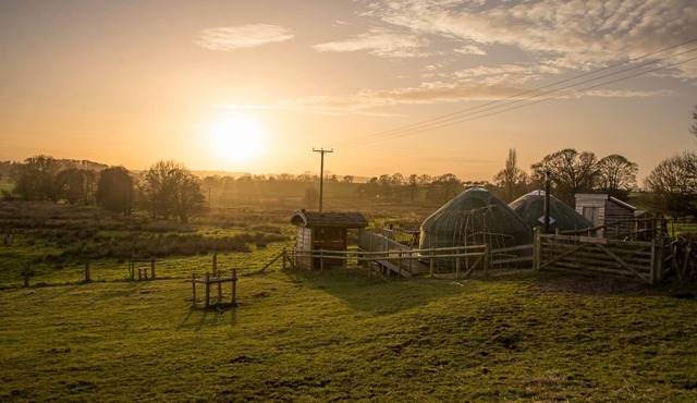 Mongolian Yurts Fordhall Organic Farm