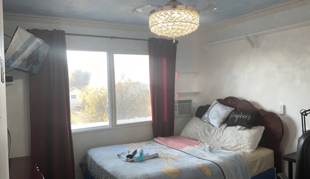 Monroe: Lrge, Charming, Nuly Furnished Sngle Bdrm in SanJose/BayArea Warmth Home