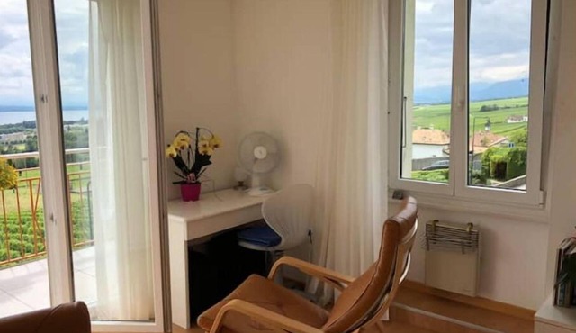 Mont-sur-Rolle Apartment with panoramic view
