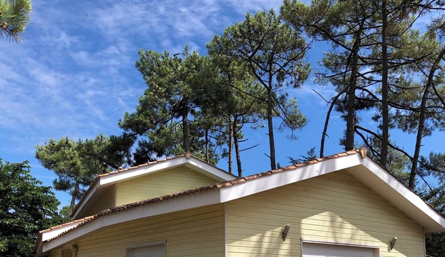 Montalivet: house / villa - MONTALIVET