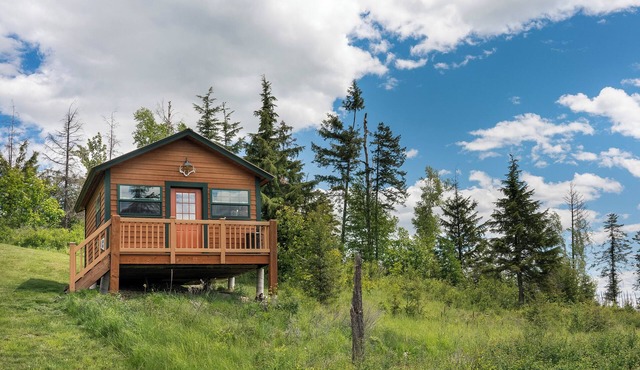 Montana cozy cabin with million $ views of Flathead Valley, 30 miles to Glacier