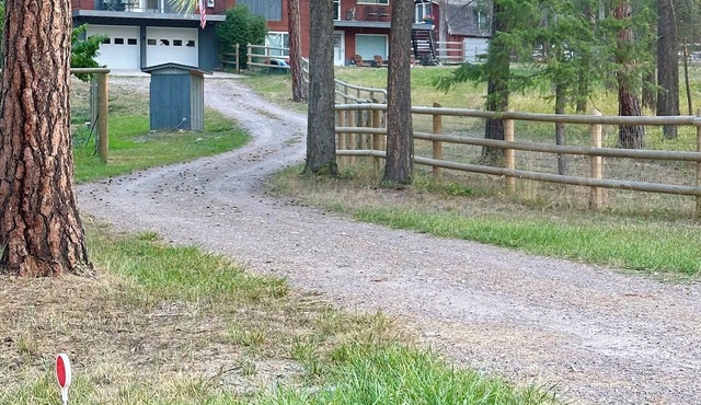 Montana Forest Retreat, Easy Walk to Flathead Lake, 1.5 Acres Fenced for Dogs!