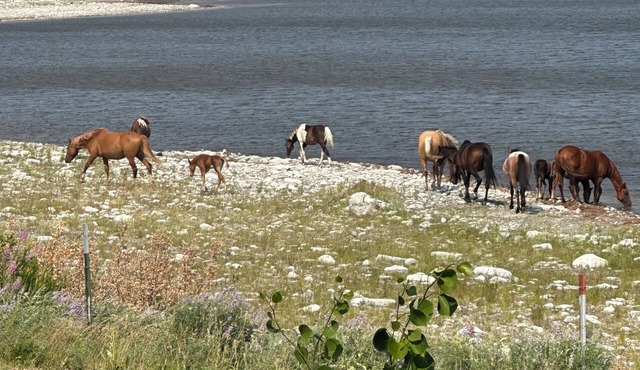 Montana Moon Camper #1 on the Lake