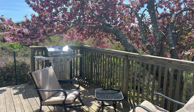 Montauk beach house, all amenities. Walk to town or beach.