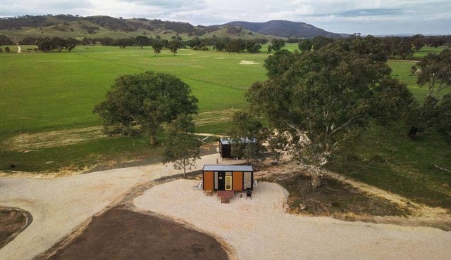 Monte at Sheltered Paddock by Tiny Away