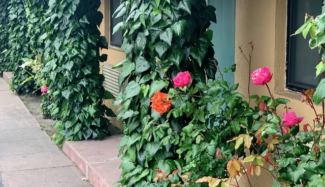 Monterey Oceanside Inn