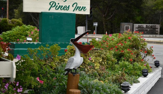 Monterey Pines Inn
