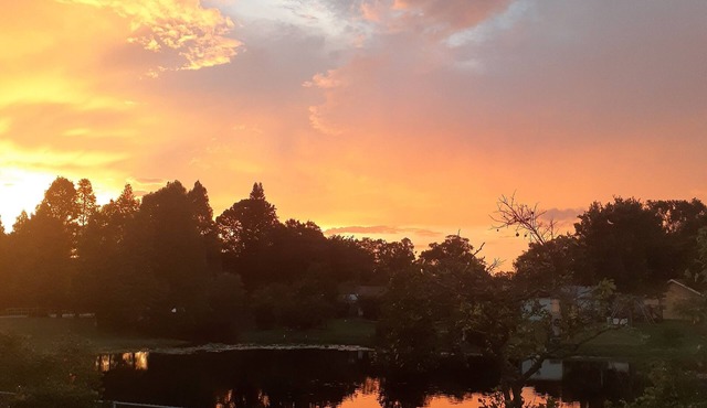 Monterey Suit at Citrus Park