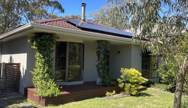 Monterra Ave Magic, TOP NOTCH