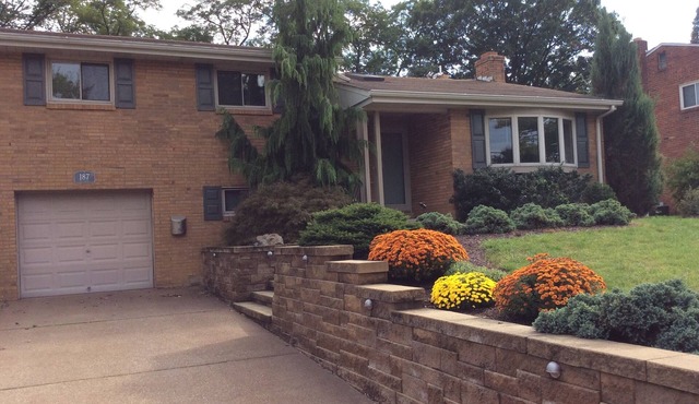 Monthly Bungalow In Green Tree