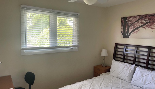 Monthly room for rent (only ladies accepted)