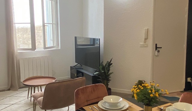 Montpellier Swallow in the heart of Montpellier's historic center