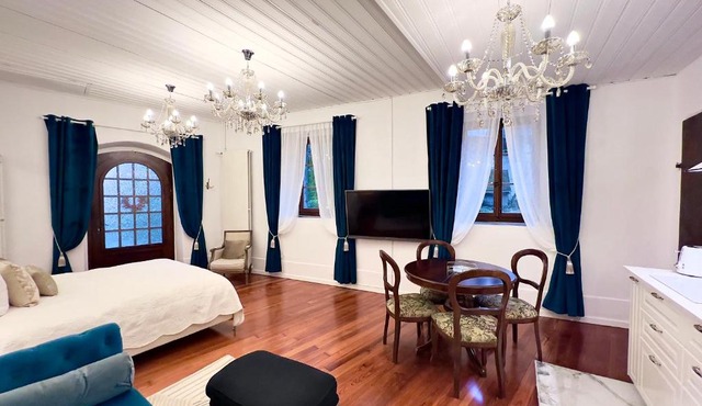 Montreux Castle - Charming Studio