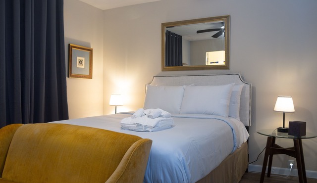 Montrose Dream Suite 04! Downtown, Medical Center