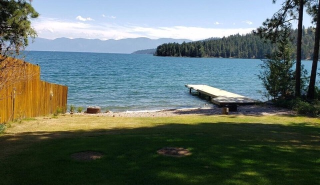 Moonbeams and Cabin Dreams