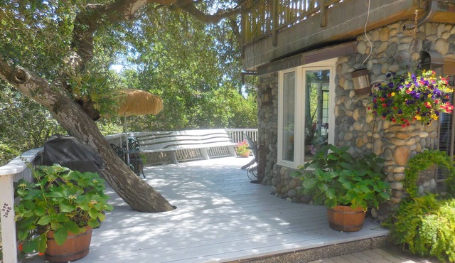 Moonglow: Forest tranquility minutes from downtown Carmel.