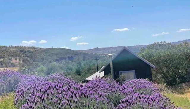 Moonrise Cottage at Buena Terra Lavender Farm