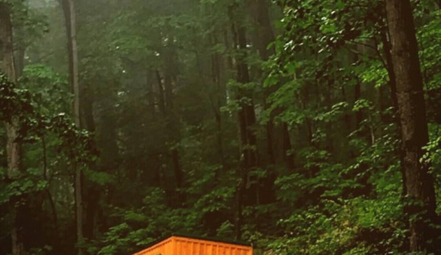 Moonshine Cabin tucked away on the Mountain,Great Location with private Hot Tub!